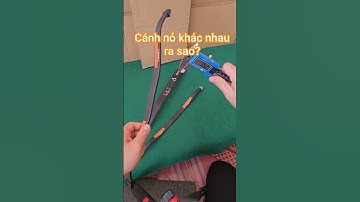 cánh nỏ khác nhau ra sao