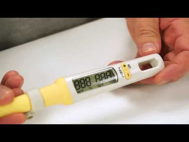 Digital thermometer with spatula DELÍCIA 