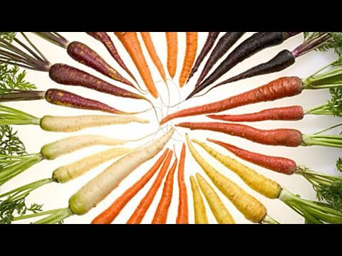 Video: Ce Alimente Sunt Bogate în Vitamina A