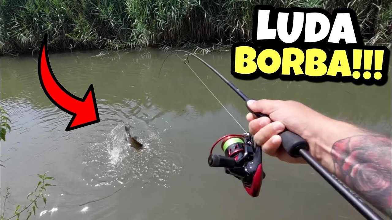 NEVJEROVATNO PECANJE !!! KLEN od 50cm udario !!!