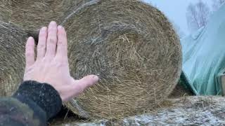 видео: Флис для укрытия сена и соломы - через два года картинка: Флис для укрытия сена и соломы - через два года