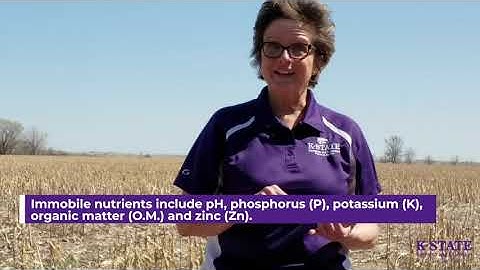 How to Collect Soil Samples for Crop Production Testing with K-State Research and Extension