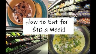 How to Eat for $10 a Week: Emergency Extreme Budget Grocery Haul Challenge