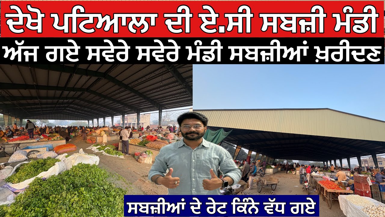 ਦੇਖੋ ਪਟਿਆਲਾ ਦੀ ਏ.ਸੀ ਸਬਜ਼ੀ ਮੰਡੀ,ਅੱਜ ਗਏ ਸਵੇਰੇ ਸਵੇਰੇ ਮੰਡੀ ਸਬਜ਼ੀਆਂ ਖ਼ਰੀਦਣ,ਸਬਜ਼ੀਆਂ ਦੇ ਰੇਟ ਕਿੰਨੇ ਵੱਧ ਗਏ 