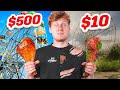 I Survived $500 vs $100 State Fair Experience!