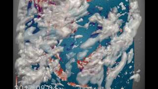 Monthly Weather Review for South Asia - August 2017