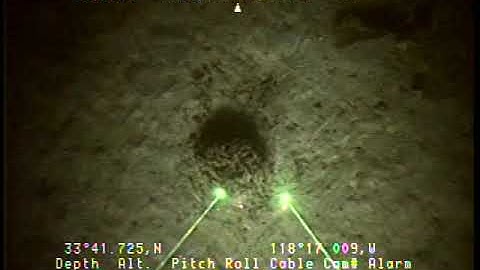 O-1-04-SC_Tape66-Vertical.mp4