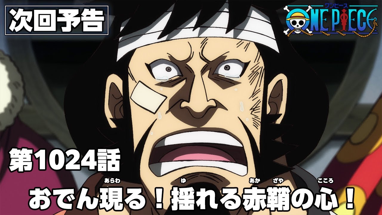 One Piece Episode 1035 Preview Released - Anime Corner