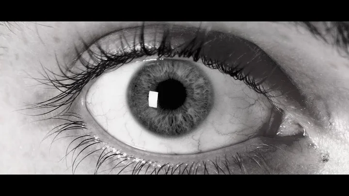 9 DEAD - REALMS [OFFICIAL MUSIC VIDEO] (2021) SW E...