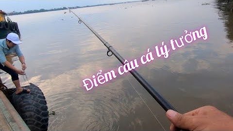 Câu cá ngát sông vàm cỏ -điểm câu cá thiên nhiên  -fishing