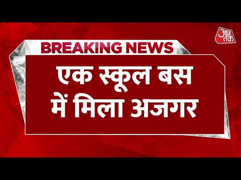 Breakings News: स्कूल बस में विशालकाय अजगर ने किया 'कब्जा', मचा हड़कंप | Aaj Tak Latest News