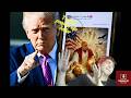 Trump’s AI Post Backfires