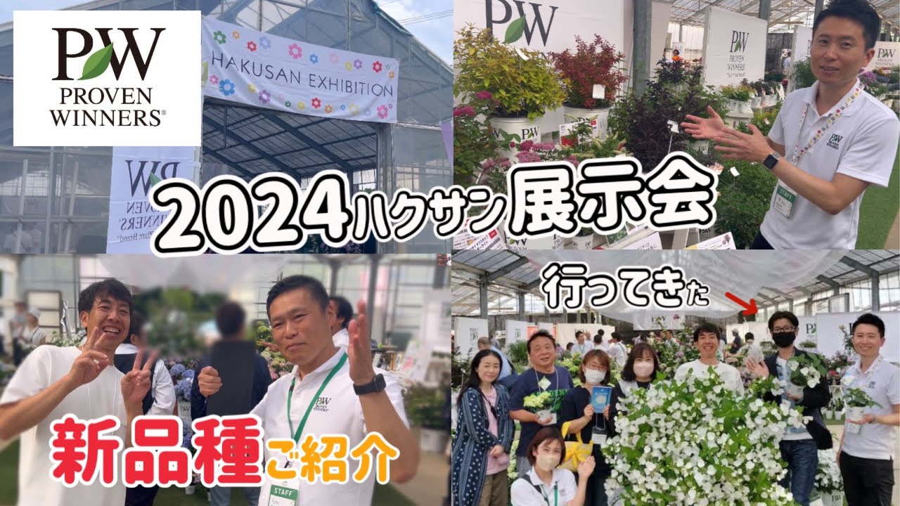 I was invited as a PW Super Ambassador to the 