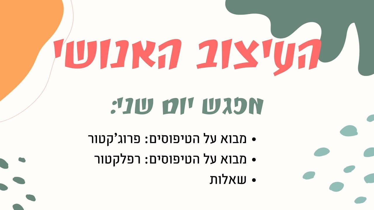 העיצוב האנושי - יסודות - פרוג'קטורים - מיכל יעלה משרקי