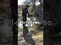 水槽もってどこまでも 都市河川の生きもの #アクアリウム
