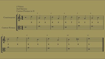 Fux Counterpoint. 2 Voices 2nd Species (Cantus Firmus D, lower part)