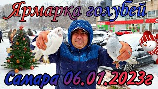 Ярмарка голубей.Самара 06.01.23г.