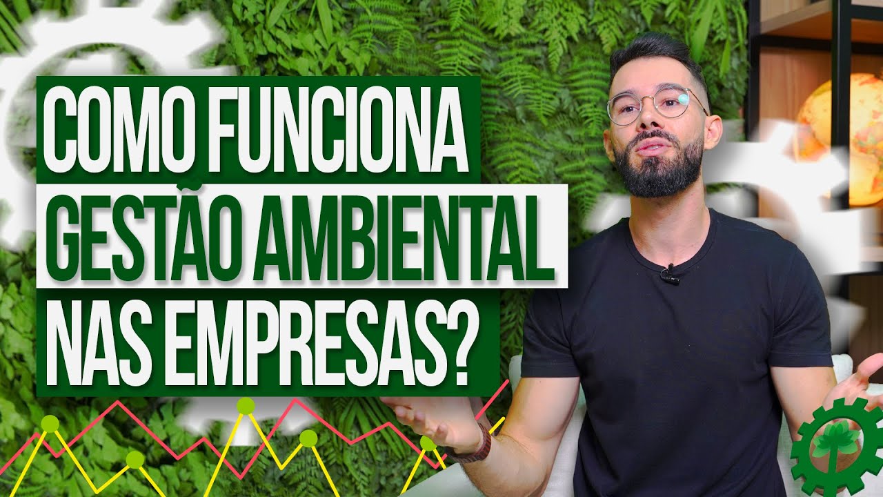 Como Funciona a Gestão Ambiental nas Empresas