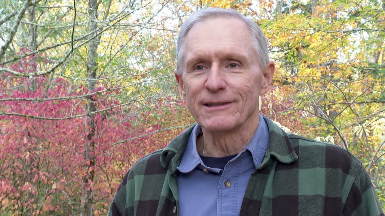 Assisted Migration Of Trees Explained