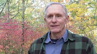 Assisted Migration Of Trees Explained