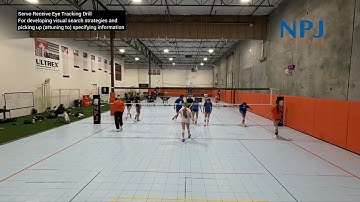 Volleyball Eye Tracking for Serve Receive Perception-Action Coupling | Picking up Specifying Info