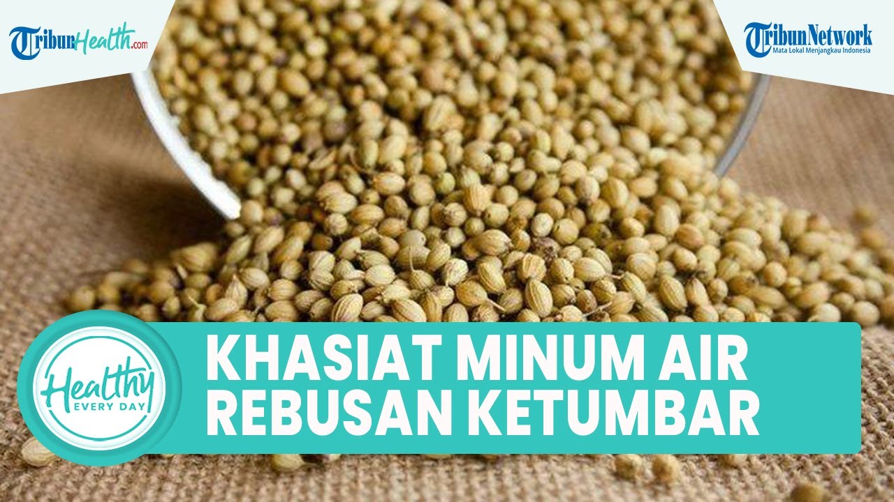 Khasiat Minum Air Rebusan Biji Ketumbar untuk Kesehatan Tubuh, Bisa