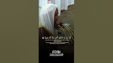 أحمدبن طالب[سورة/طه]#أحمد_بن_طالب #سورة_طه #أن_الله_وملائكتة_يصلون_على_النبي #الله #صبراً #الحمدلله