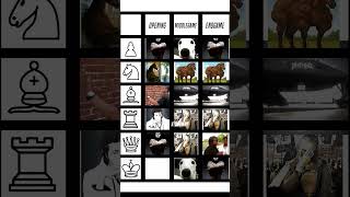 Your Favourite Piece?