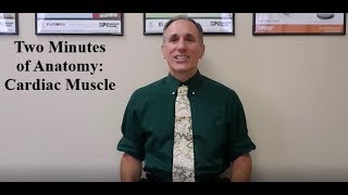 Two Minutes of Anatomy: Cardiac Muscle