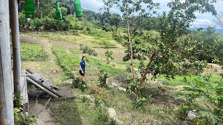 My sanctuary, Samosir: slow living di rumah bambu