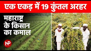 अरहर क खत क अनख तरक How This Farmer From Maharashtra Yields 19 Quintals Of Tur Per Acre