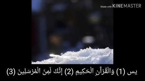 جديد اسلام صبحي ما تيسر من سورة.. يس