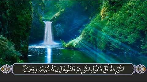 تلاوة عطرة لما تيسر من الذكر الحكيم من سورة آل عمران ❤️🌿نسأل الله القبول 🤲❤️#جوادي_عبد_المالك