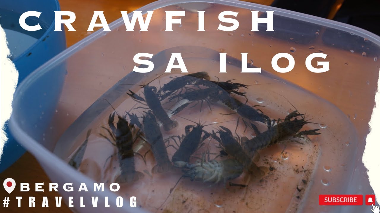 TRAVEL VLOG: Nang huli ng CRAWFISH sa ILOG ng BERGAMO, Italy | Ep 61