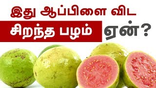 Guava fruit Benefits - Heart Healthy, Weight Loss Friendly - Tamil Health Tips