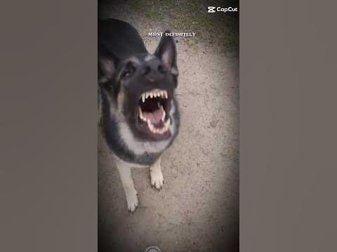 зубастик🤧💋 - YouTube