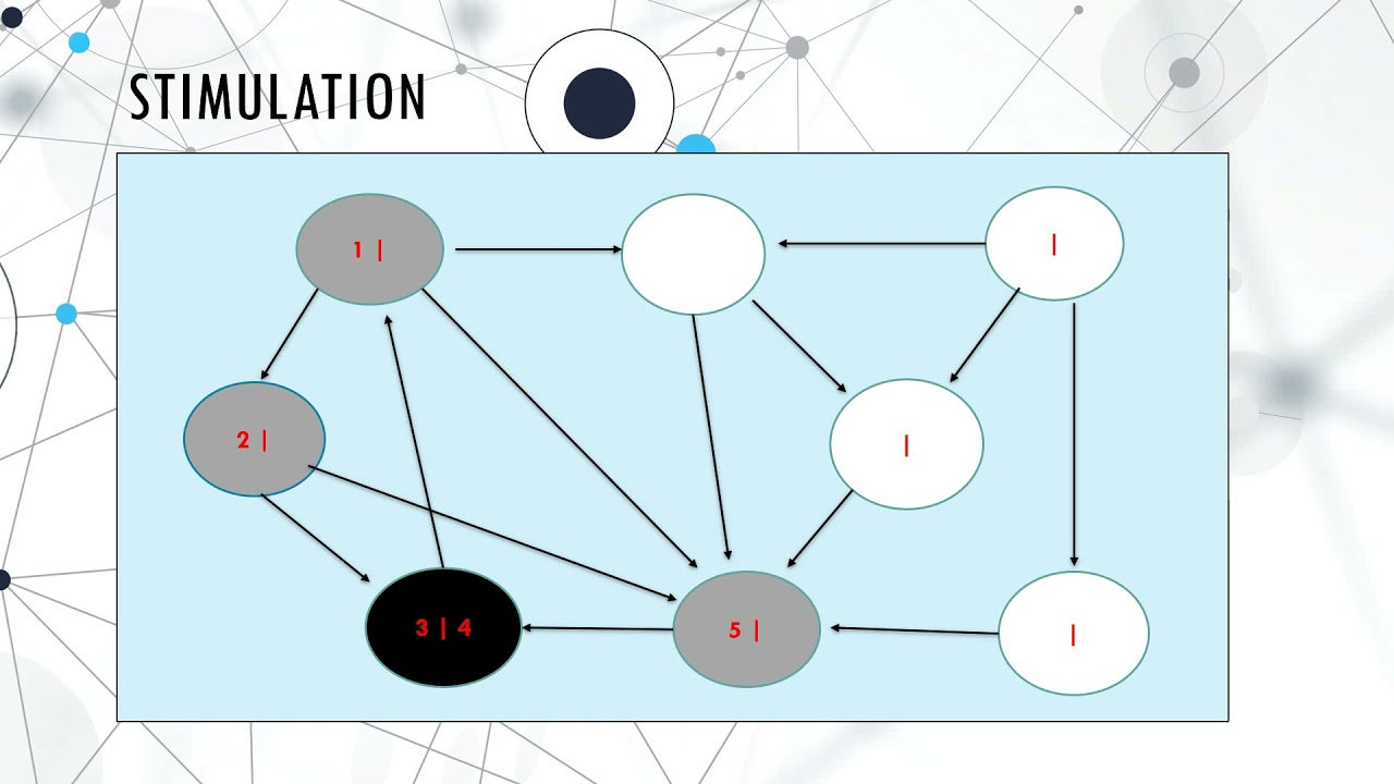 Dfs Algorithm Programiz | Dynamic Programming – MQKHCZ