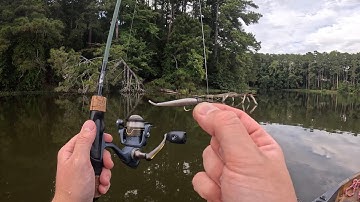 Ultralight Fishing With Gulp Minnows | RAW AND UNCUT 
