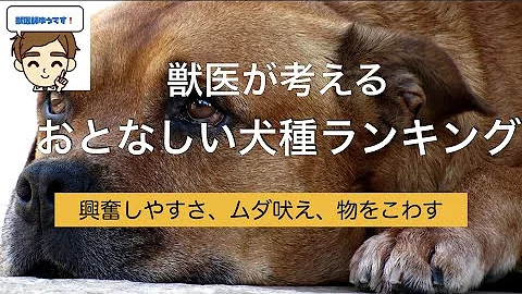 Xiofyeorokqqam Xiofyeorokqqam