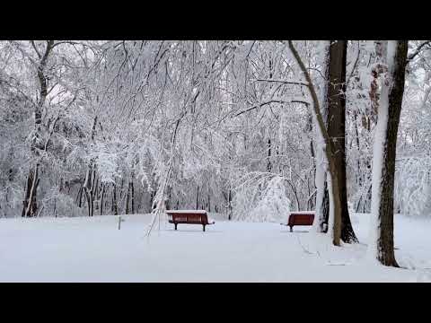 أ ف أ م ن وا م ك ر ٱلل ه من سورة الأعراف بصوت القارئ الشيخ محمد عبادة