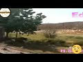 ياخسارة الحر 