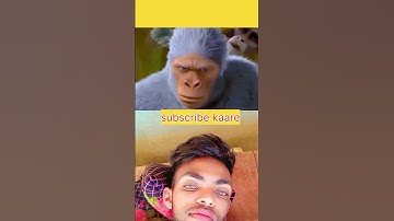 #new #fectes #reaction #shots #youtubeshortvideo #shortsfeed #shortvideo