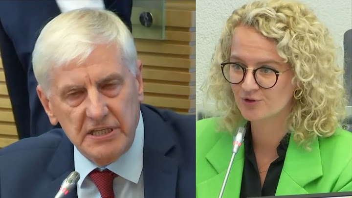 Dumbrava: "Pažadėkit, kad ministerija parodys iniciatyvą dėl Visagino LEZ"