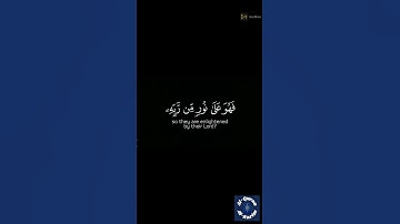 أفمن شرح الله صدره للإسلام القارئ محمد اللحيدان