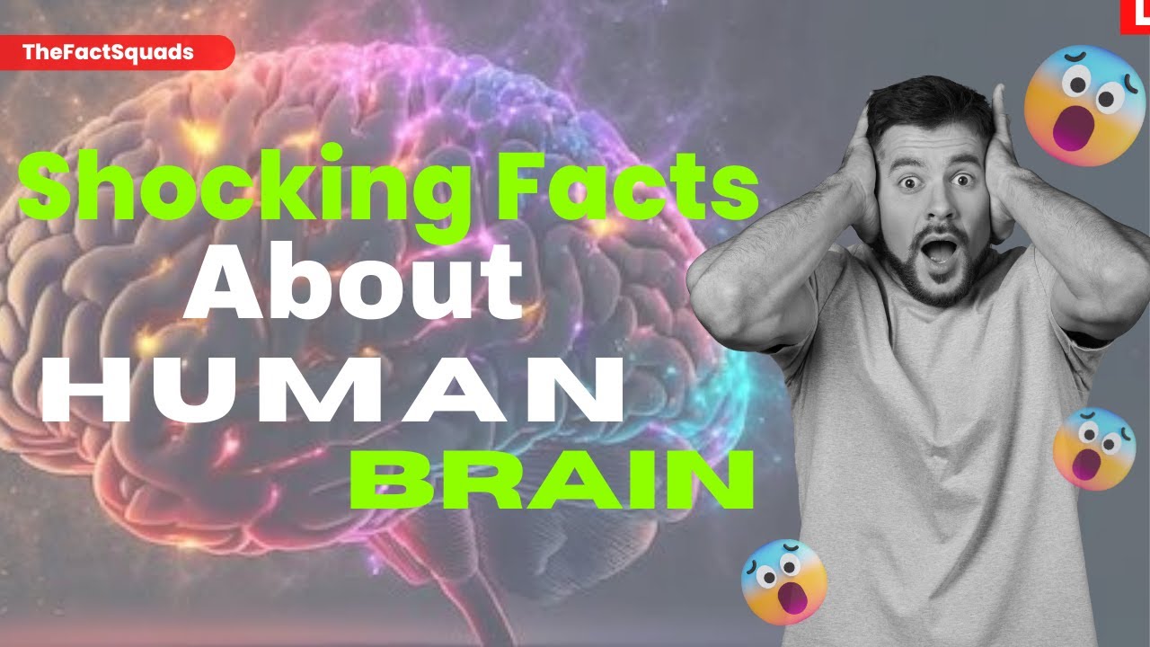 Human Brain Revealed: 5 Astonishing Facts You Need to Know! - YouTube