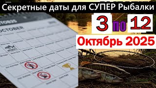 Лунный календарь рыбака на эту неделю октября 2025
