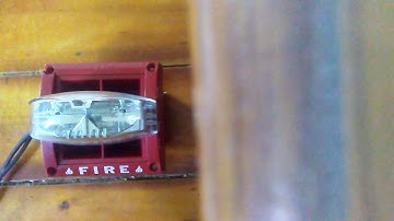 SYSTEM SENSOR MASS2475ADA ALL TONES!!!!