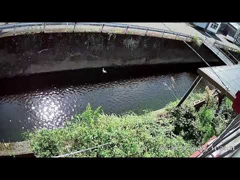 静岡県 静岡市駿河区桃園町ライブカメラ Shizuoka Suruga Live camera.world.cam