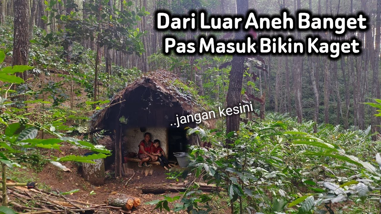 TAK MASUK AKAL!! DIKIRA RUMAH BIASA GAK NYANGKA TERNYATA ADA RUMAH UNIK DAN ANEH DALAM HUTAN
