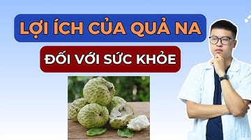 LỢI ÍCH CỦA QUẢ NA Với Sức Khoẻ (Không phải ai cũng biết)